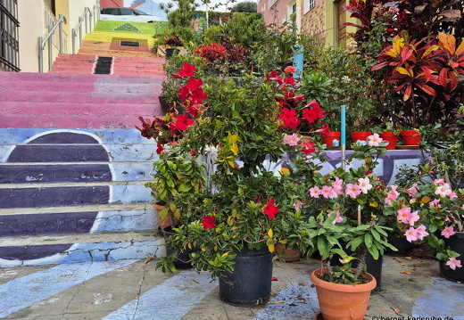 25-01-08-los llanos-062