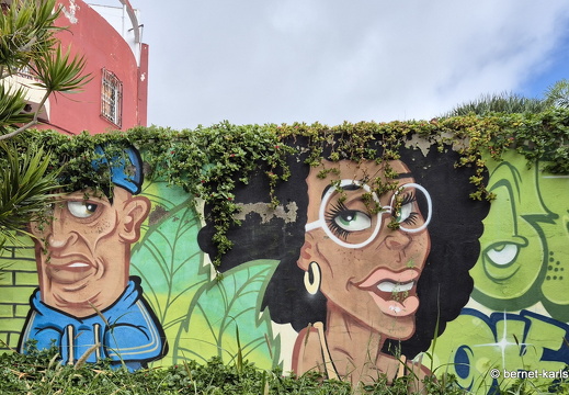 25-01-08-los llanos-065