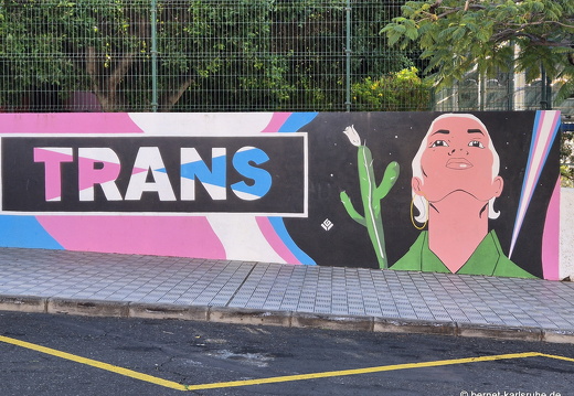 25-01-08-los llanos-wandmalerei-murales-