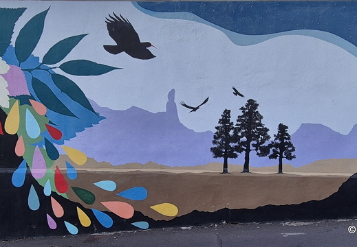 25-01-11-los llanos-mirador de cancelita-004