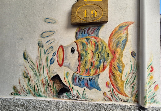 25-01-28-tazacorte-070