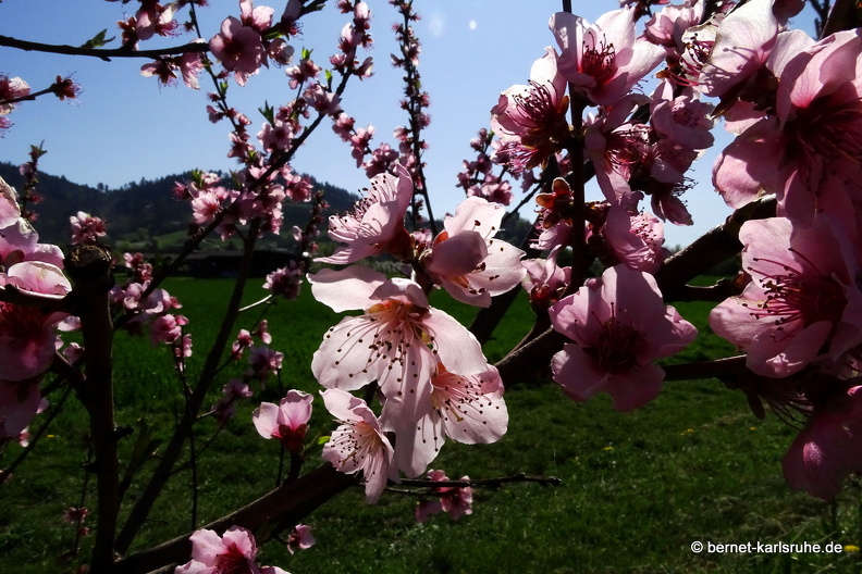 25-04-05-ortenberg-untere matt-019.jpg