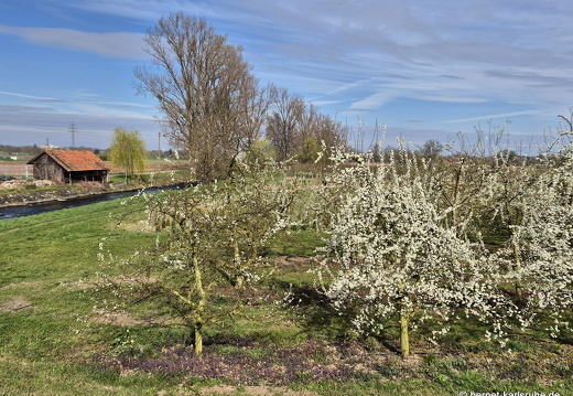 25-03-30-am grossendeich-001