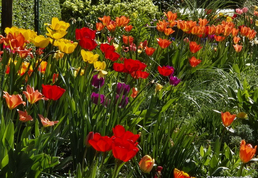 25-04-04-spaziergang-rammersweier-grosse weinflasche-schoenstatt-010