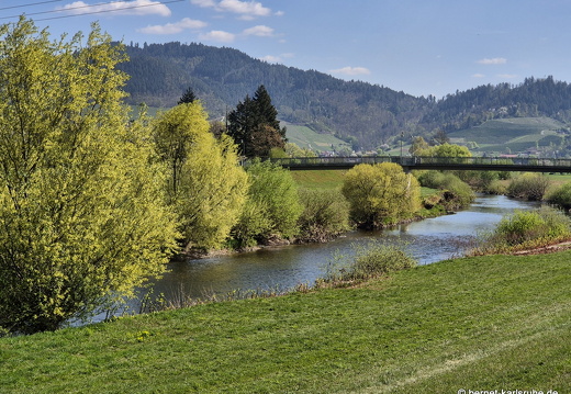 25-04-09-kinzig-ingobruecke-001