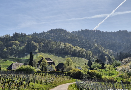 25-04-12-fessenbach-012