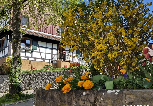 25-04-12-fessenbach-023