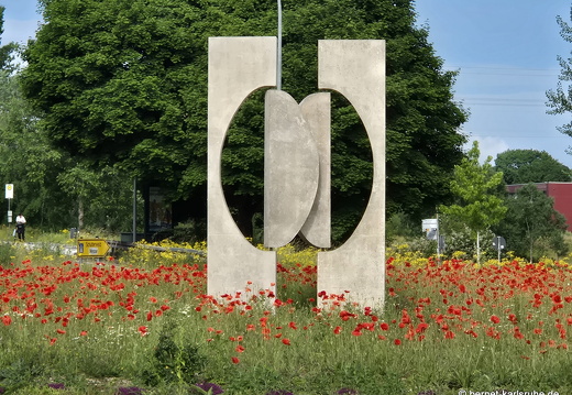 25-05-29-006