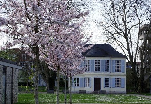 24-03-21-buergerpark-006