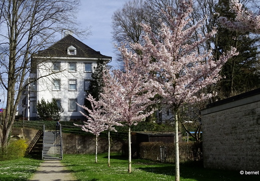 24-03-21-buergerpark-020