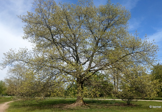 24-04-11-gifiz-see-002