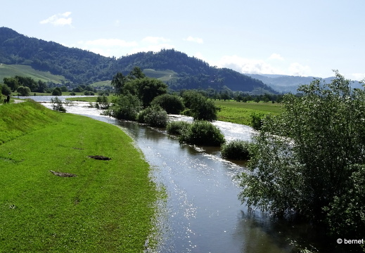 24-05-18-kinzig-deich-hochwasser-022
