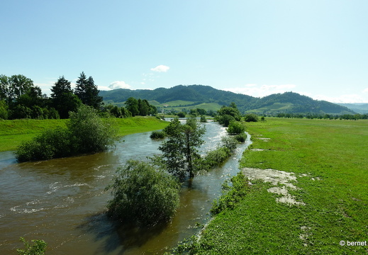 24-05-18-kinzig-deich-hochwasser-025