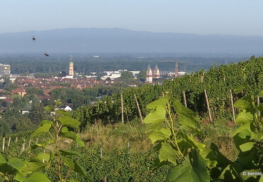 24-08-11-fessenbach-011