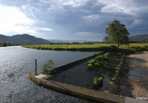 24-08-13-am grossendeich-001