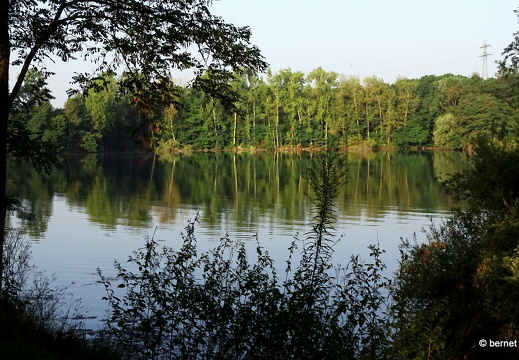 24-09-01-burgerwaldsee-038