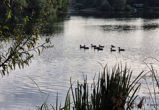 24-09-03-koenigswaldsee-017