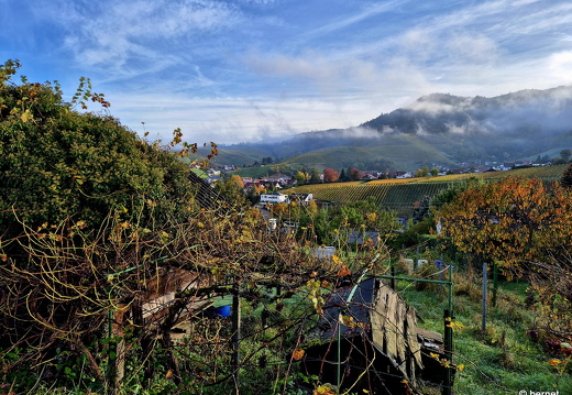 24-10-20-fessenbach-hohes horn-003