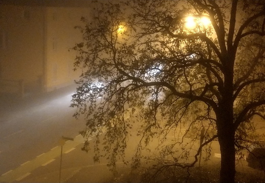 24-11-29-ortenberger-nebel-004