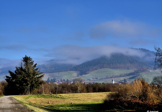 24-12-01-teichstrasse-hochnebel-002