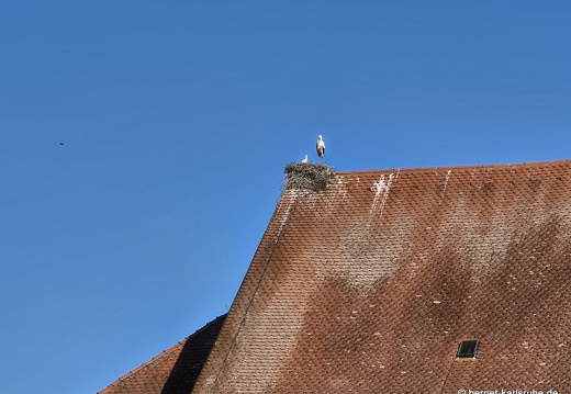 25-06-12-ortenberg-storchennest-