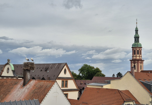 25-06-27-am marktplatz-storchennest-