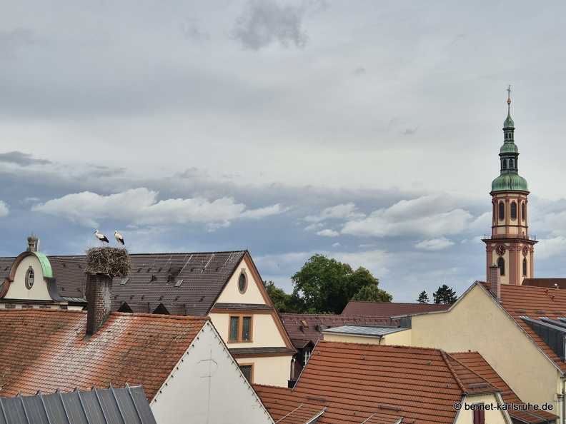 25-06-27-am marktplatz-storchennest-.jpg