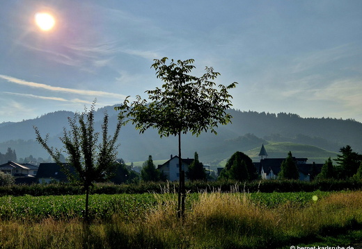 25-06-11-ortenberg-