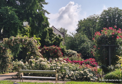 25-06-16-rosengarten-