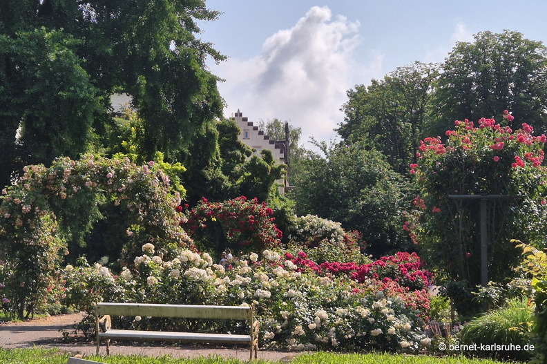 25-06-16-rosengarten-.jpg
