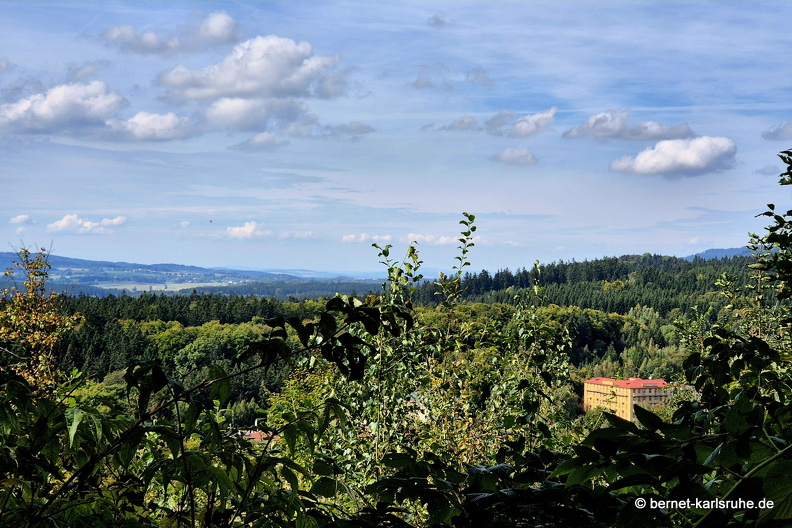 24-09-23-mb-waldweg zu hamelika-006.jpg