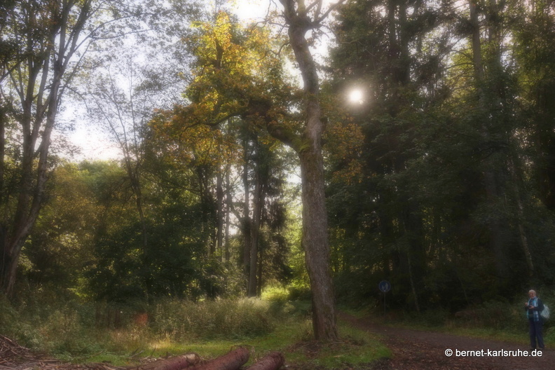 24-09-29-mb-letzter tag-kamzik-036.jpg