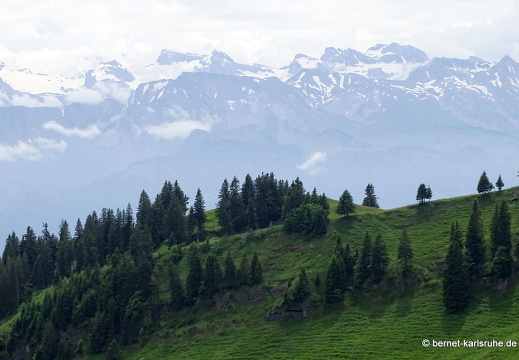 24-06-26-rigi-aussicht-021