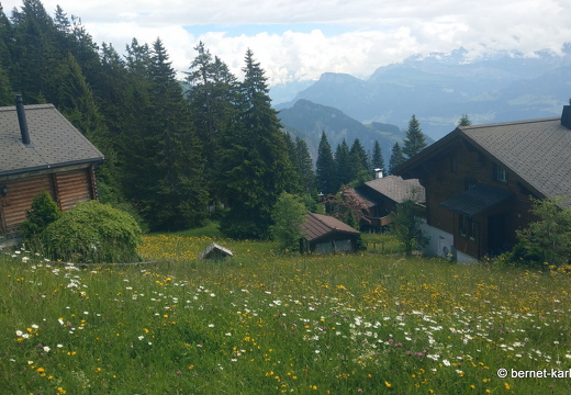 24-06-26-rigi-bergbahn-bergab-007