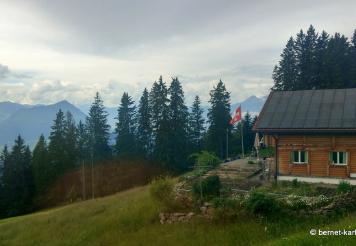 24-06-26-rigi-bergbahn-bergauf-021