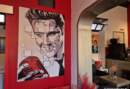 25-01-15-los llanos-elvis-