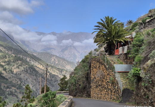 25-01-17-los llanos- barranco de las angustias-015