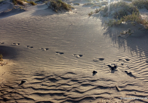24-02-06-caleta de famara-062