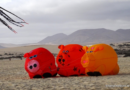 23-11-11-corralejo-ikf-052