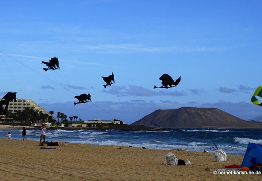 23-11-11-corralejo-ikf-097