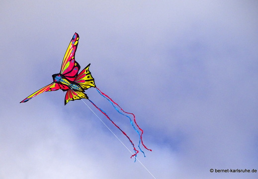 23-11-11-corralejo-ikf-098