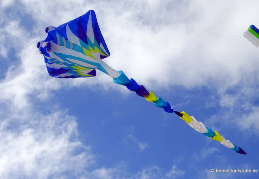 23-11-11-corralejo-ikf-107