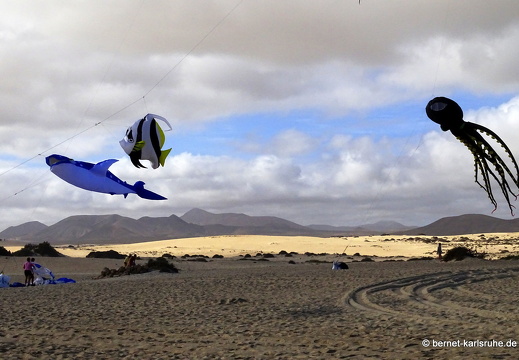 23-11-11-corralejo-ikf-113