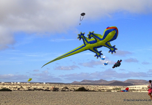 23-11-11-corralejo-ikf-114