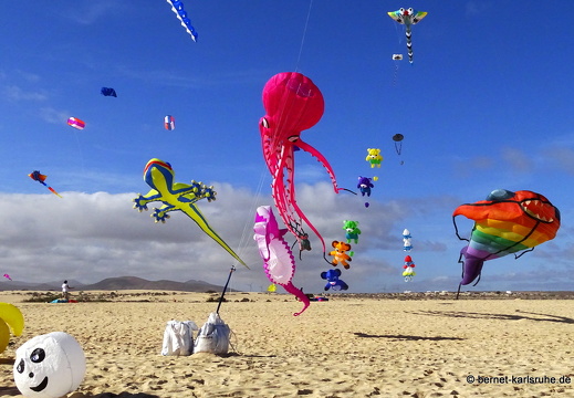 23-11-11-corralejo-ikf-128
