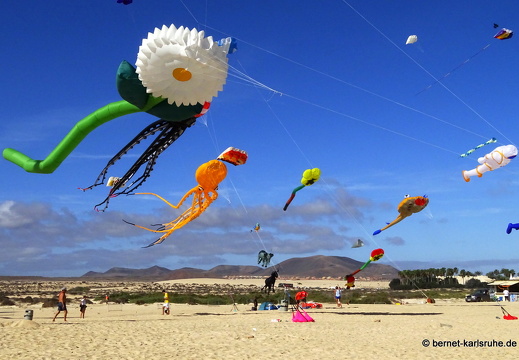 23-11-11-corralejo-ikf-140