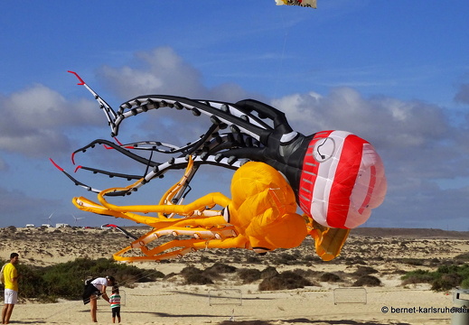 23-11-11-corralejo-ikf-143