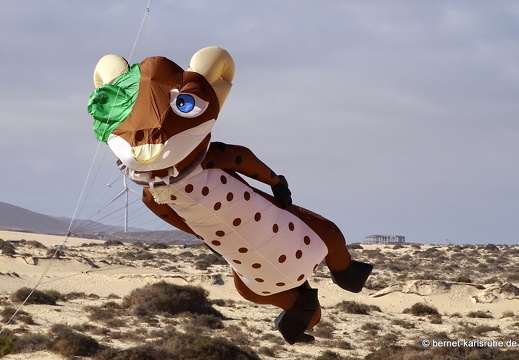 23-11-11-corralejo-ikf-144