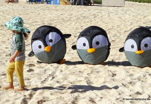 23-11-11-corralejo-ikf-172