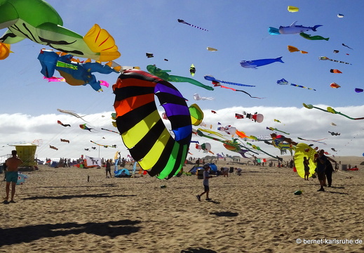 23-11-11-corralejo-ikf-210